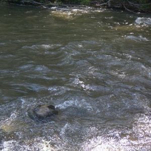 Meet your Posher, Jeremy